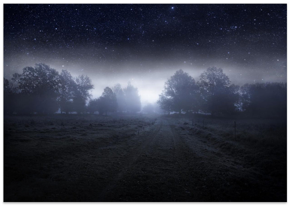 Visions of the night