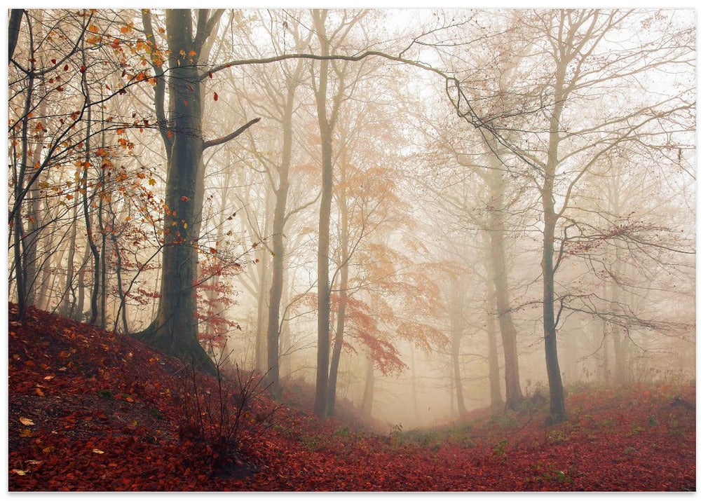 Waiting for the deer.