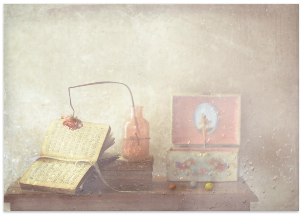 The little ballerina