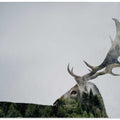 Antler Double-exposed