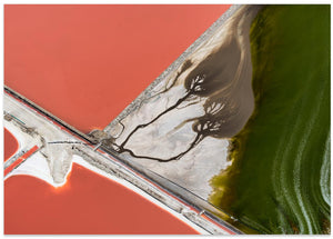 Art Prints of Nature's painting