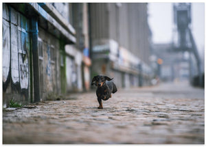 Art Prints of The Dark Side of Hamburg