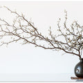 Vase And Branch