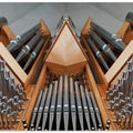 Organ