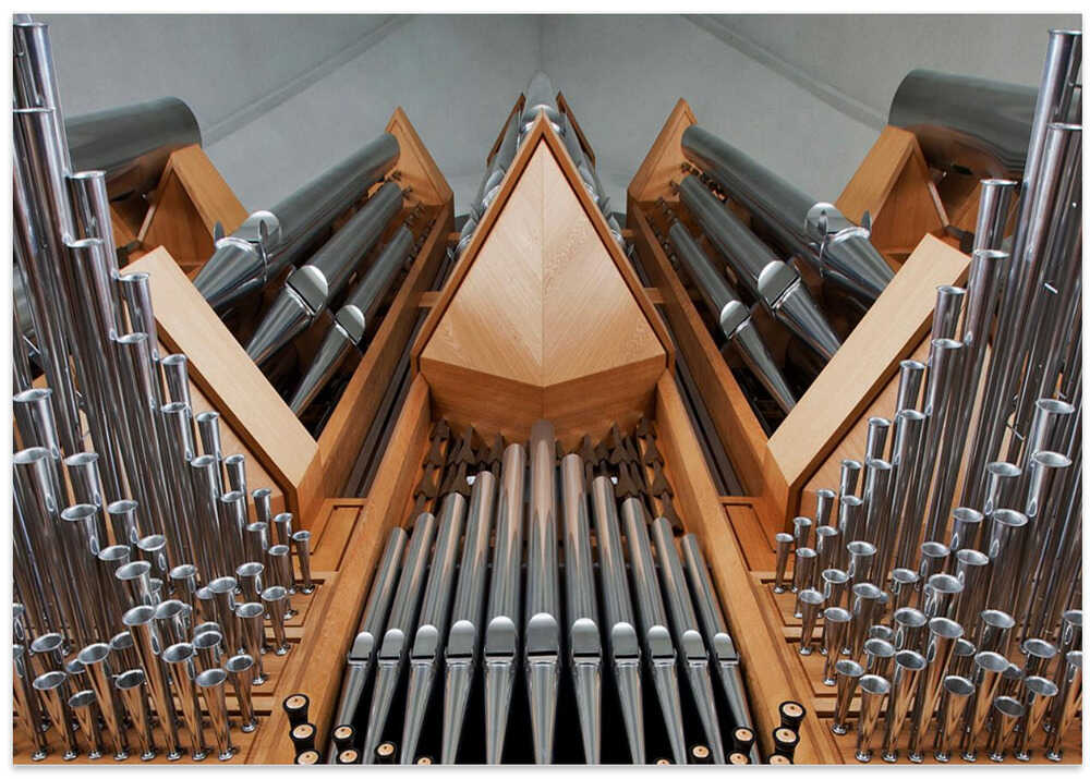 Organ