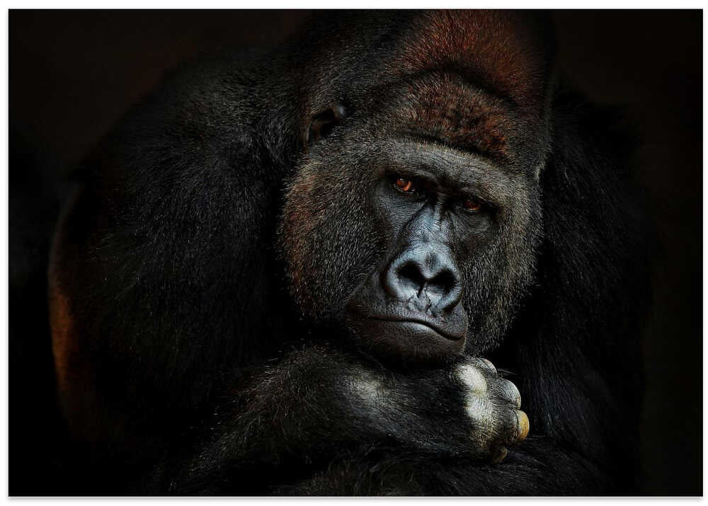 STRENGTH IN SERENITY