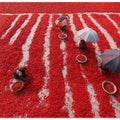 Red Chilies Pickers