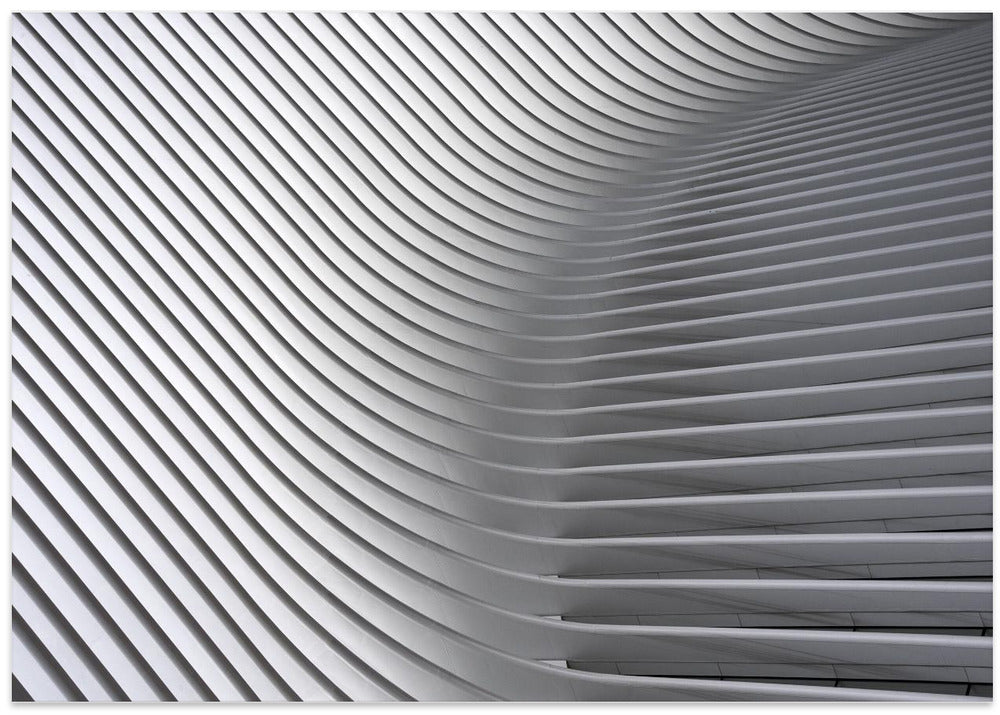 Art Prints of Calatrava Curves # 2