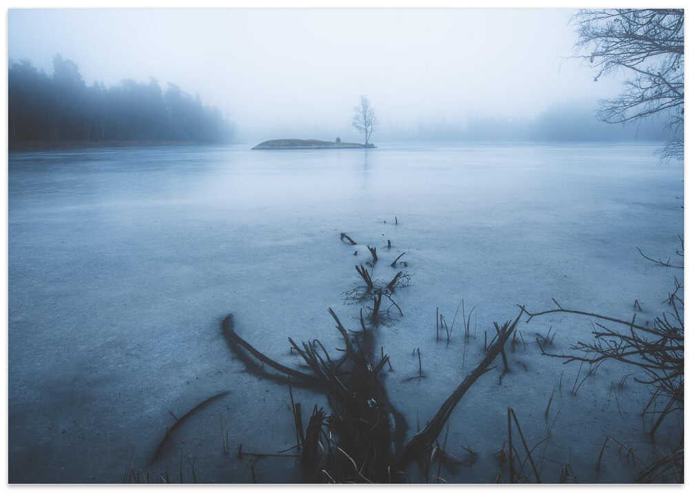 Dead tree vs alive tree