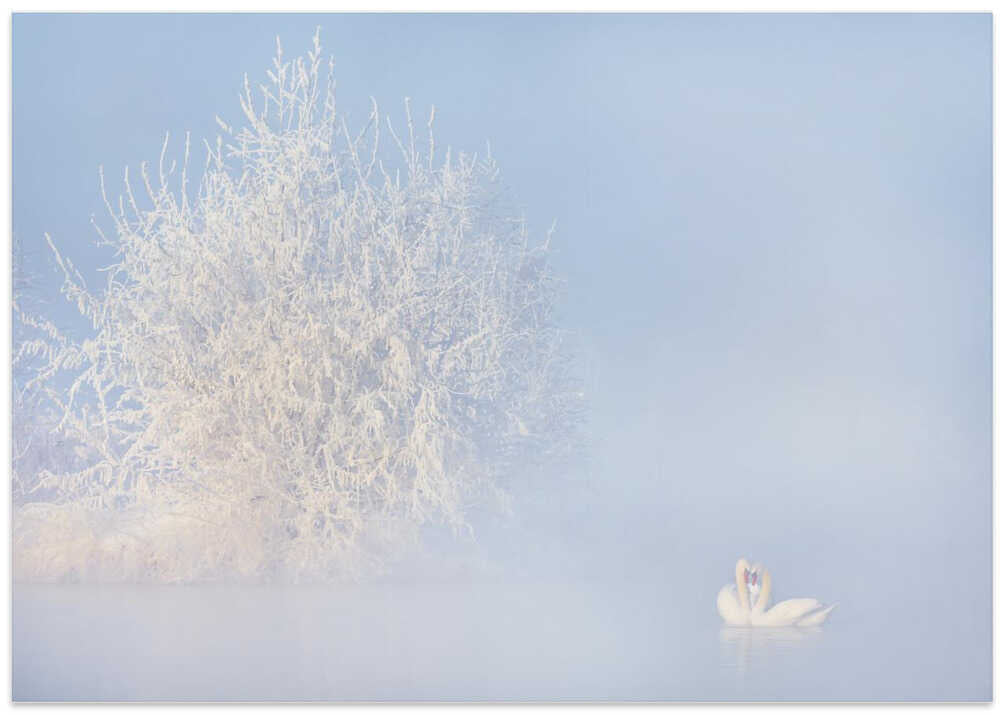 Love story in the Winter