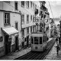 Art Prints of Tram in Lisbon