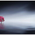 Pink tree at lake