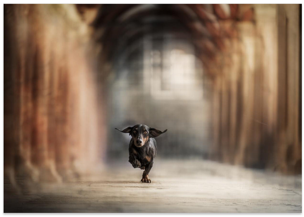 Art Prints of "He who leaps for the sky may fall, it's true. But he may also fly.”  ― Lauren Oliver