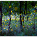 Magic fireflies