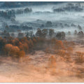 Autumnal misty dawn