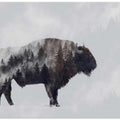 Bison - Double Exposure