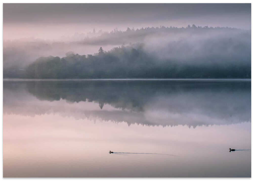 A little while in the morning