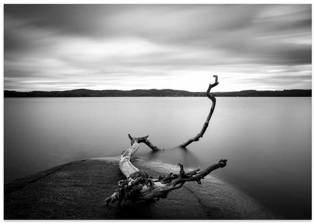 Branch long exposure lake