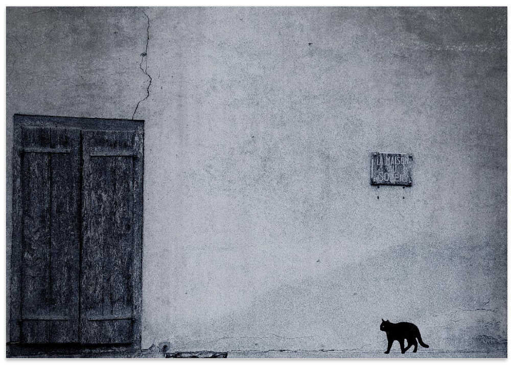le chat noir