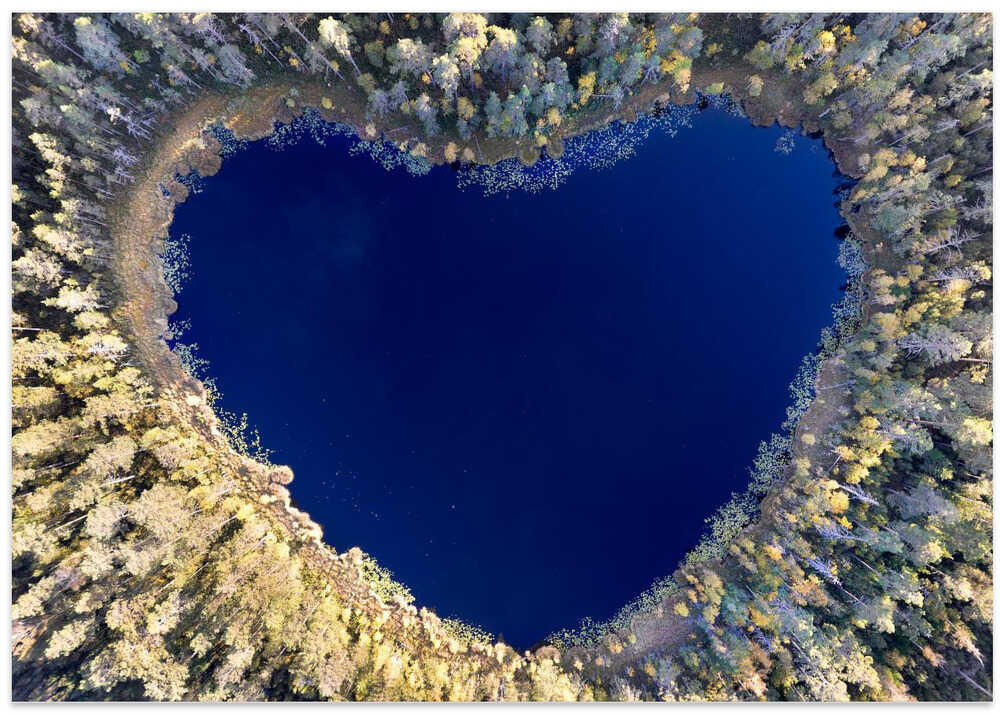 All you need is love