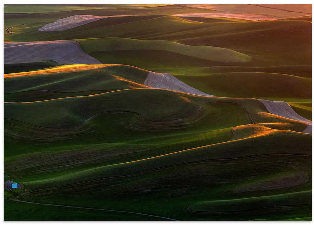 In the morning light