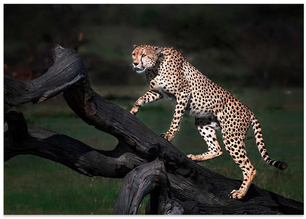 Take look from the top