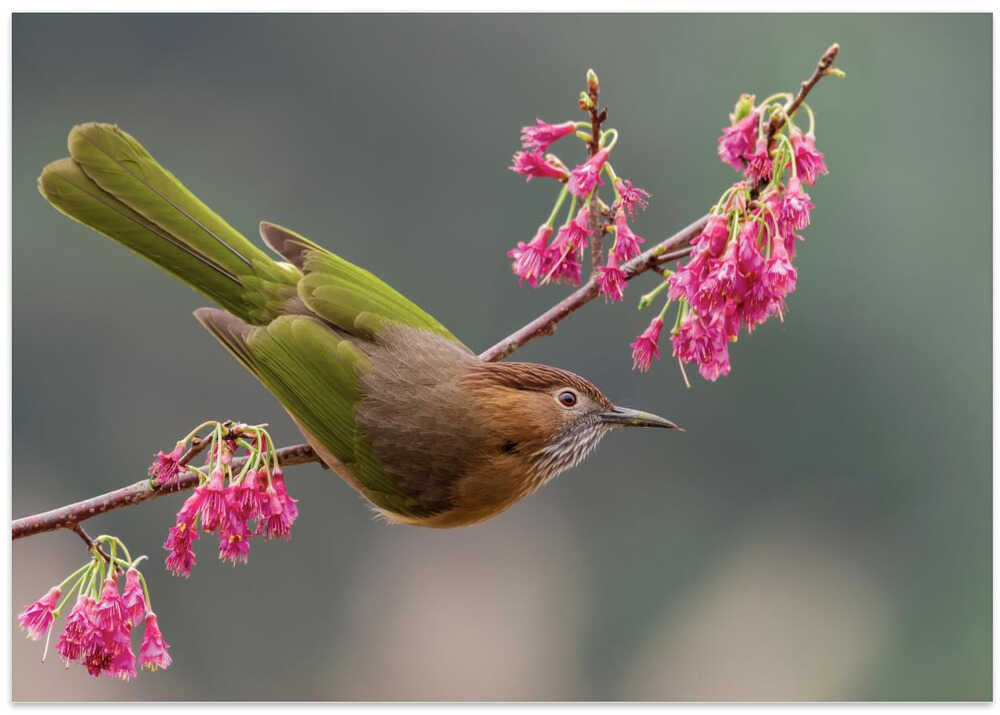 斜个身子，够得着。