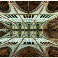 Art Prints of Looking Up