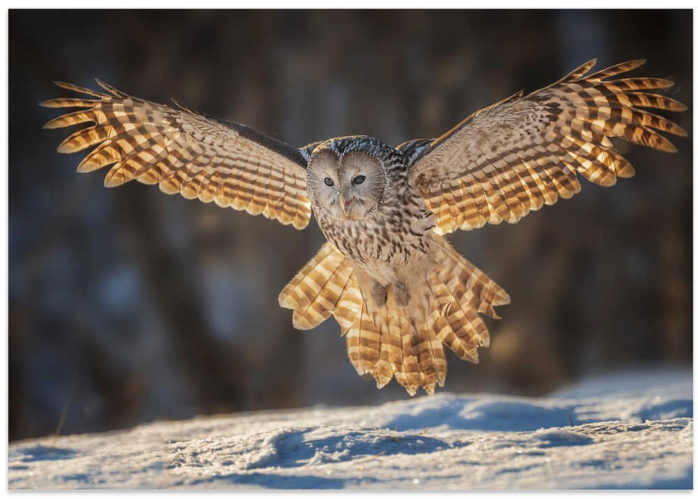 Baby, let me hug you