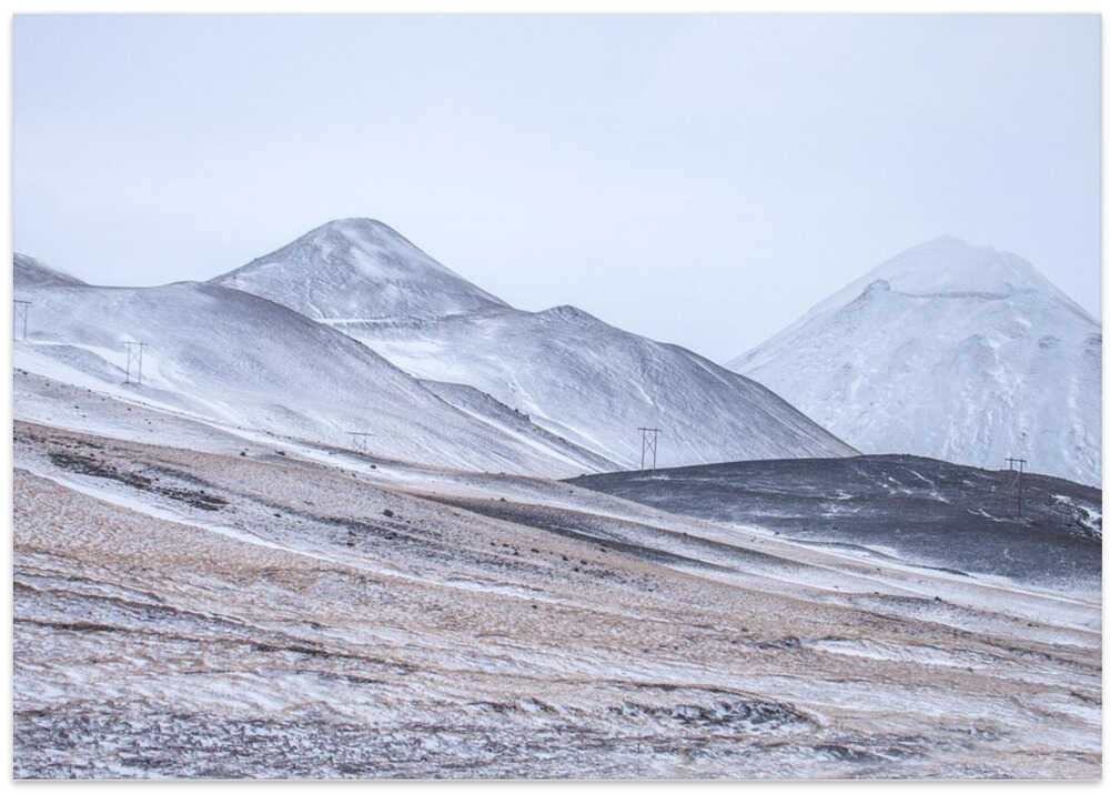Painted by the severe winds