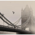 Art Prints of Tower Bridge