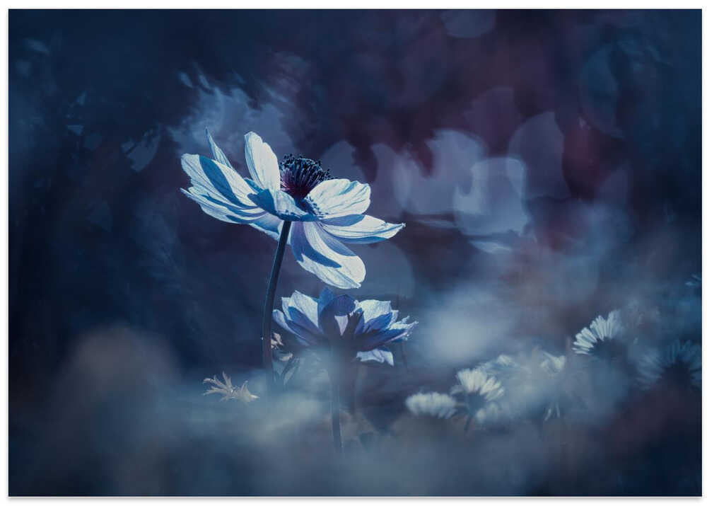 Juste une tite chanson d'Amour