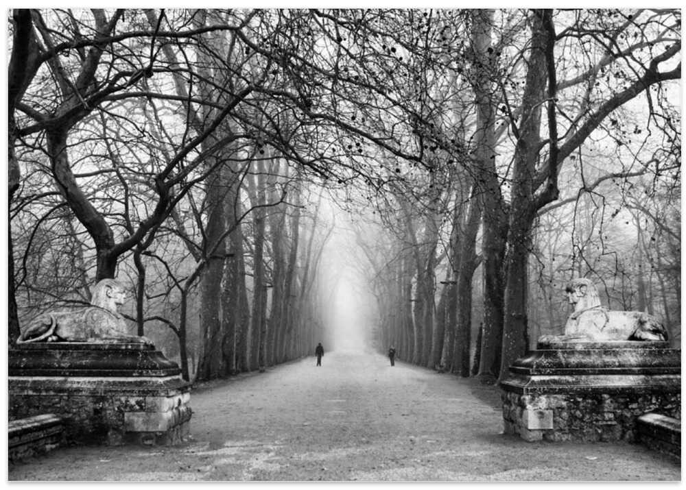 Where are they going?