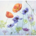 Poppy & Anemone