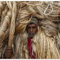 Workers carry heavy jute fibers on their shoulders