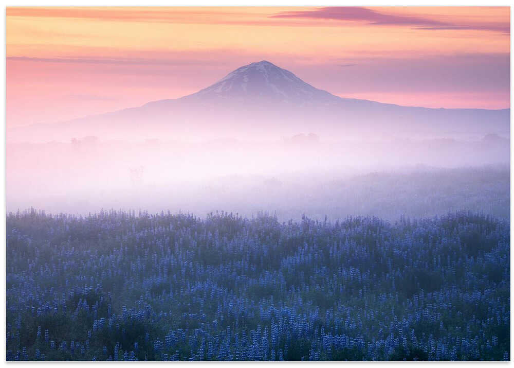Iceland - Morning Calmness