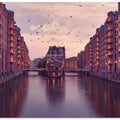 Art Prints of City of Warehouses