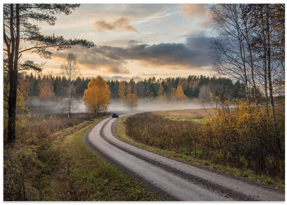 Drive in autumn colors