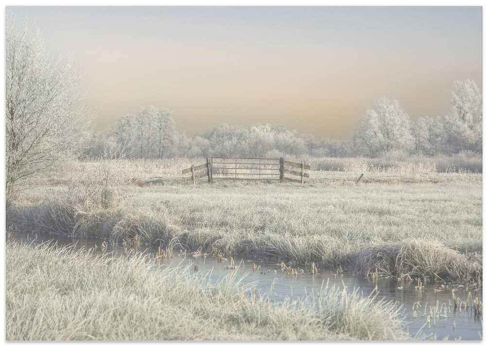 winter in the wieden