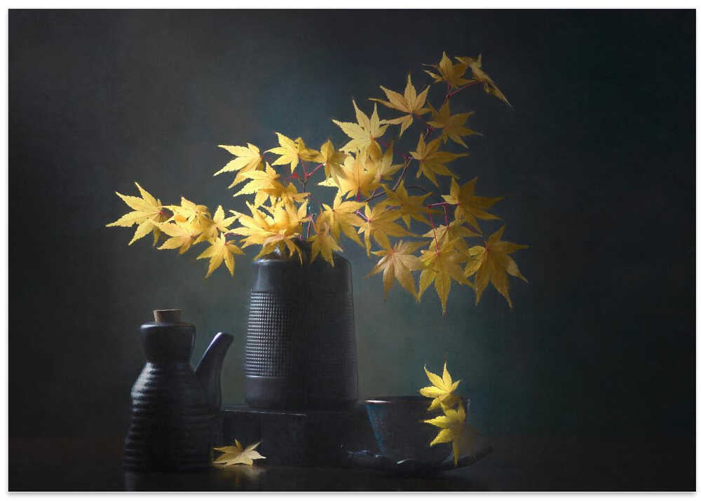 Japanese Maple Leaves