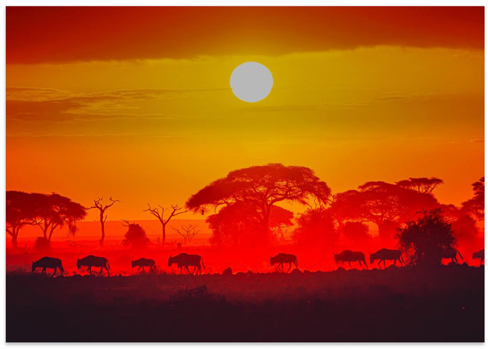 Amboseli sunrise