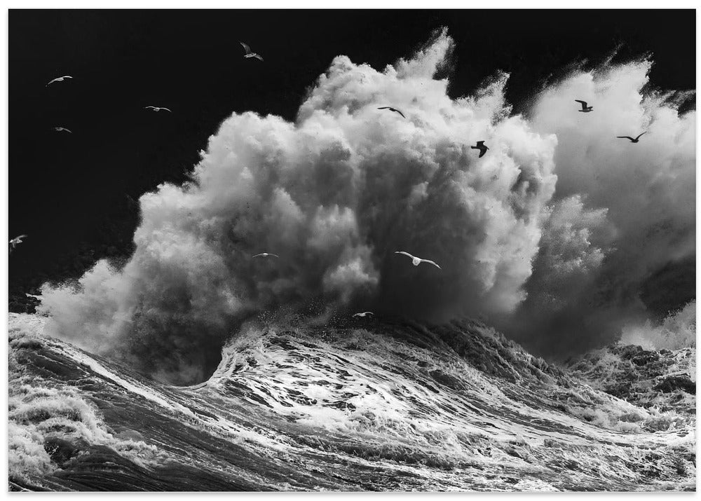 BIRDS IN THE STORM (Part 1)