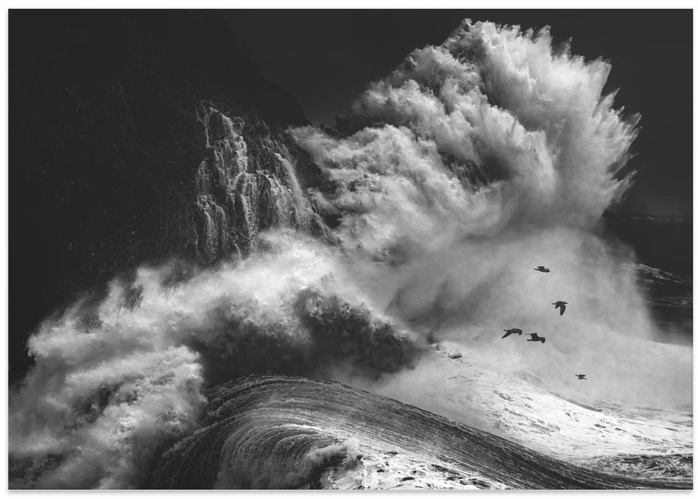 BIRDS IN THE STORM (Part 4)