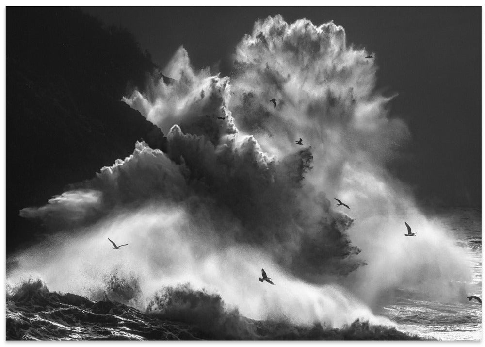 BIRDS IN THE STORM (Part 8)