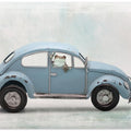 Art Prints of Amazon Milk Frog in VW Bug