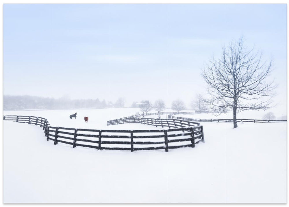 Winter farm