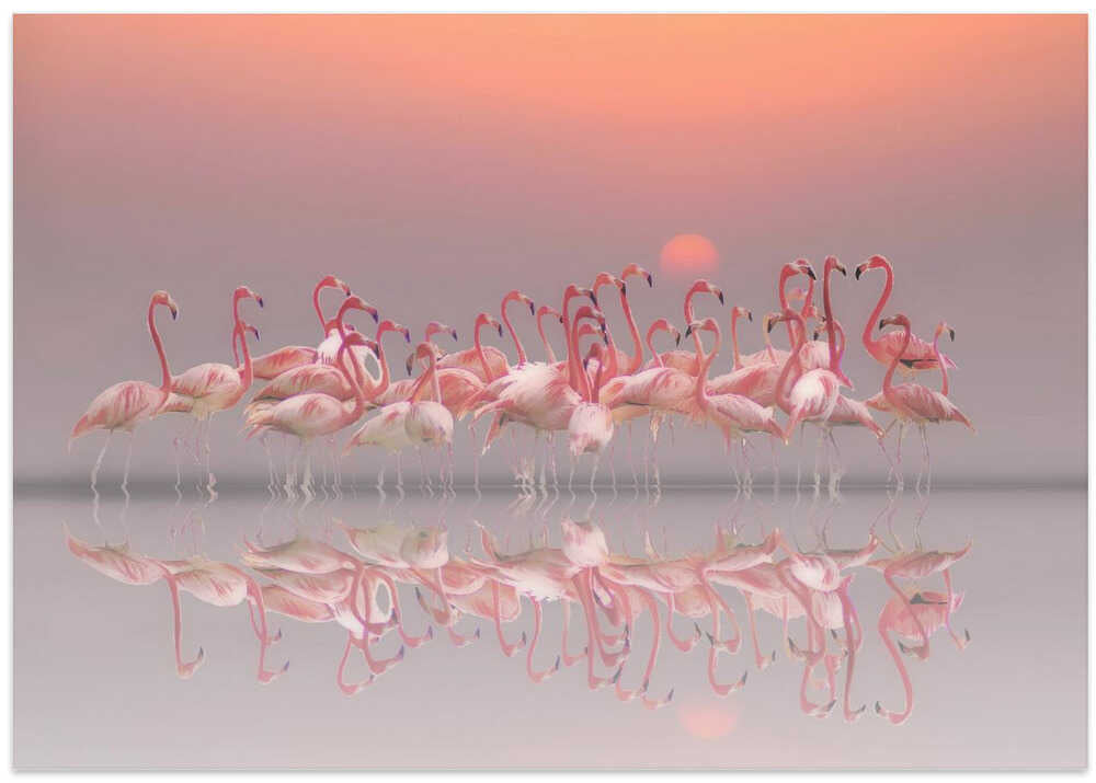 meeting before sunset