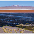 Laguna colorada