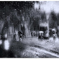 Viale Trastevere in the rain - Rome