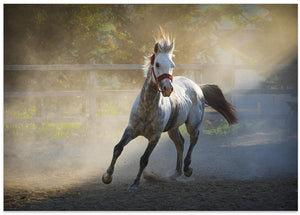 Art Prints of ... ::: Altın Yele ::: ...